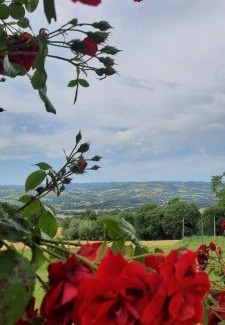 Loreto House | Agriturismo Il Truffarello TODI