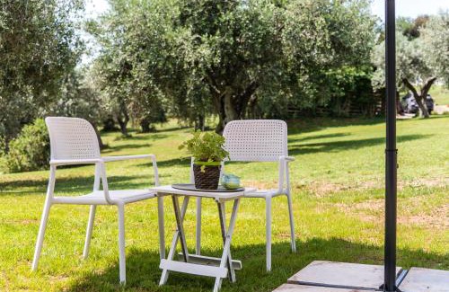 Campiglia Marittima Apartment | Agriturismo La Mignola