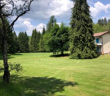 Villa Bascilica House | Agriturismo La Casa Nel Bosco