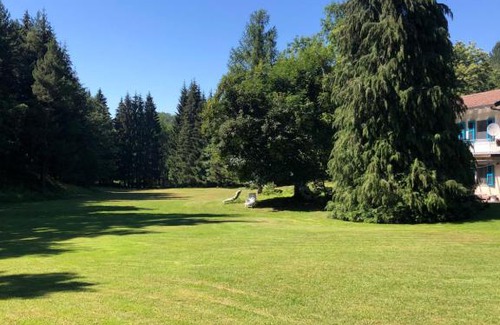 Villa Bascilica House | Agriturismo La Casa Nel Bosco