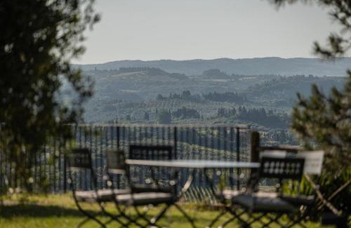 Certaldo Bed & Breakfast | Agriturismo La Collina degli Olivi