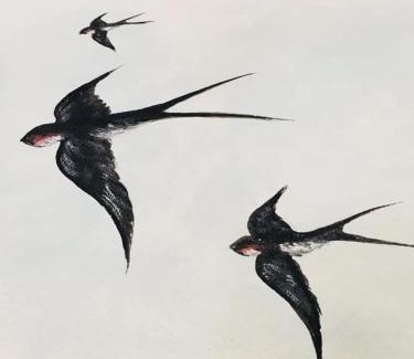 Nord-Est House | Agriturismo La Perlara - Adults Only