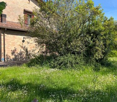 Quartiere Rubicone House | Agriturismo La Valle dei Conti
