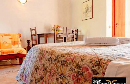 Civitella Paganico House | Agriturismo Lampugnano