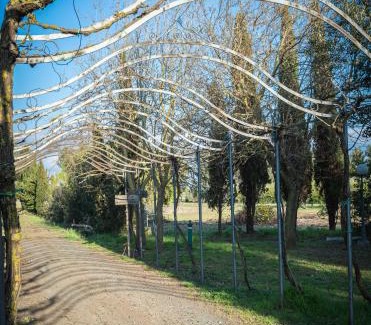 Vada House | Agriturismo Le Biricoccole