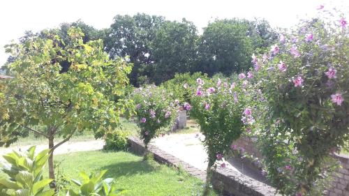 Viterbo Bed & Breakfast | Agriturismo Le Quattro Stagioni