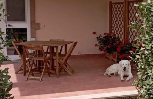 Manciano Apartment | Agriturismo Lungo Albegna