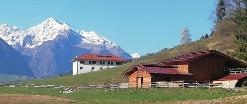 Lomaso House | AGRITURISMO MASO PERTENER -adults friendly-