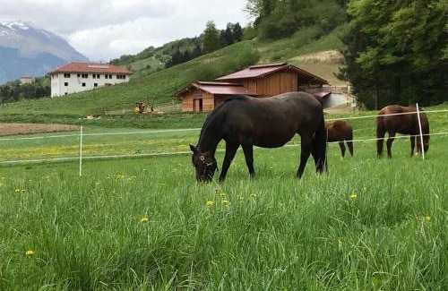Lomaso House | AGRITURISMO MASO PERTENER -adults friendly-