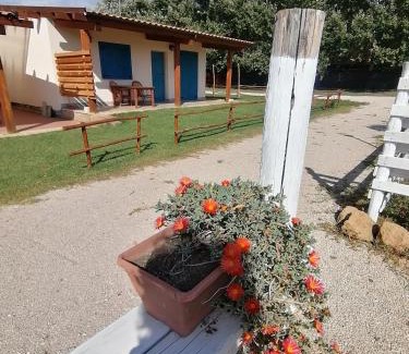 Ardea House | agriturismo oca giuliva