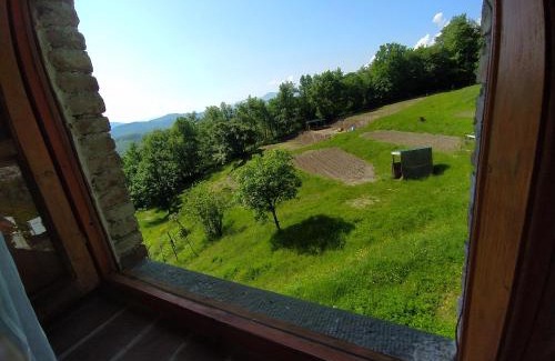 Villa Collemandina Apartment | Agriturismo Paneolio
