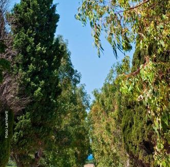 Tarquinia House | Agriturismo Podere Giulio