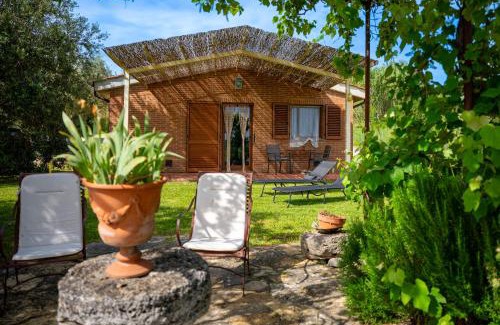 Castiglione del Lago House | Agriturismo Poggio Antico