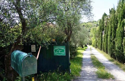 Vecchiano House | Agriturismo Poggio la Fioraia