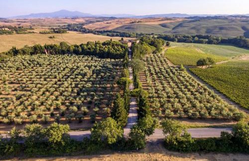 Trequanda Bed & Breakfast | Agriturismo Pometti - Fattoria La Selva