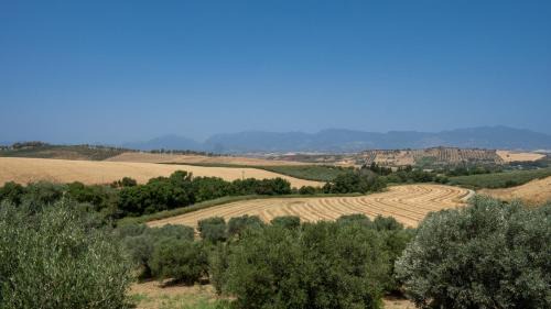 Tarsia House | Agriturismo Rende