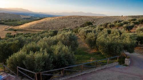 Tarsia House | Agriturismo Rende