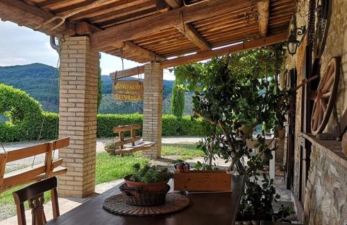 Allerona House | Agriturismo Selvella