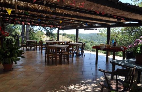 Luogosanto Bed & Breakfast | Agriturismo Vaddidulimu