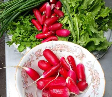 Tsalka House | Agro House Mezge - აგროსახლი მეზგე