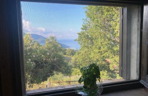 Torraca Apartment | Agros