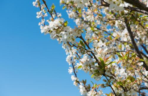 Son Antem House | Agroturisme Perola - Only Adults