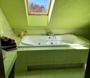 Jezow Sudecki Apartment | Agroturystyka Alpakolandia Góra Szybowcowa