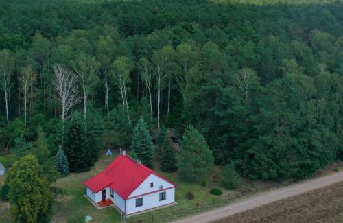gmina Tuczna House | Agroturystyka "Leśne Zacisze na Podlasiu"