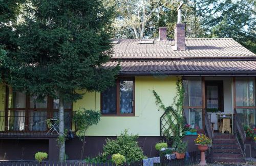 Grodzisk Mazowiecki House | Agroturystyka Czerwone Maki 2 Łazienki 5 Pokoi Kuchnia - NoclegiGrodziskPL 792-535-535