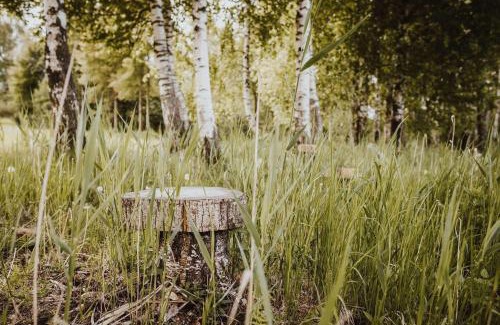 Sikory Juskie House | Agroturystyka Pod Gwiazdami