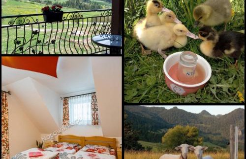 Czorsztyn House | Agroturystyka Pod Zamczyskiem