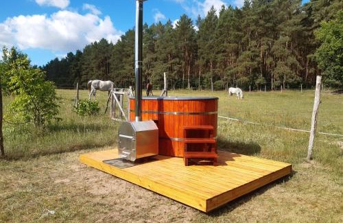 gmina Przytoczna Ski Chalet | Agroturystyka Polana Harmonii