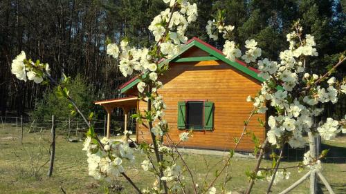 gmina Przytoczna Ski Chalet | Agroturystyka Polana Harmonii
