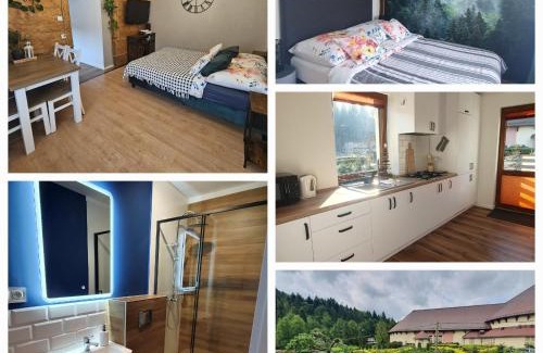 Wisla Apartment | Agroturystyka u Wańka