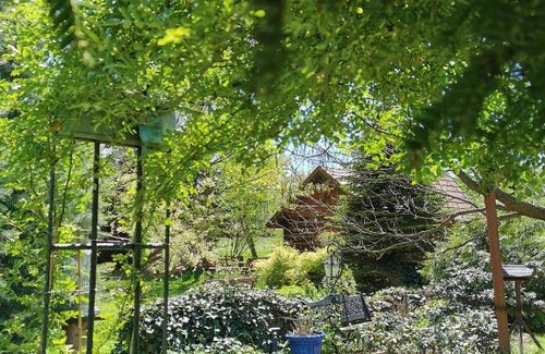 Sanok Bed & Breakfast | Agroturystyka w ogrodach