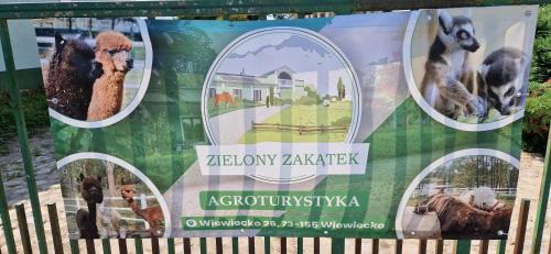 Wegorzyno House | Agroturystyka Zielony Zakątek w Wiewiecku