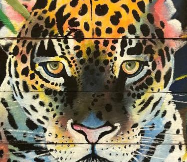 Nuqui House | Agujera Ecolodge - Nuquí