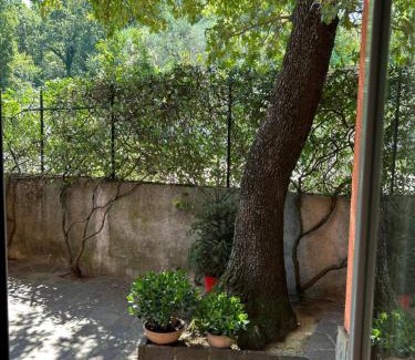 Muggia Bed & Breakfast | Ai 2 Olmi - monolocali nel verde