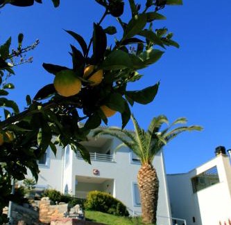 Volos Apartment | Aigli Apartments