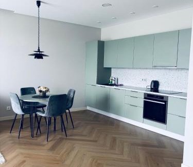 Panevezys Apartment | Ainių gatvės apartamentai