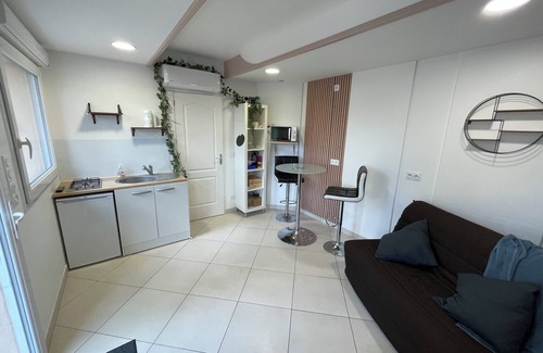 Loire-sur-Rhone Apartment | Air-conditioned, self-contained studio with private terrace