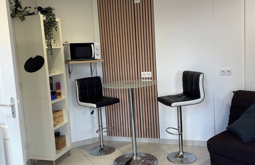 Loire-sur-Rhone Apartment | Air-conditioned, self-contained studio with private terrace