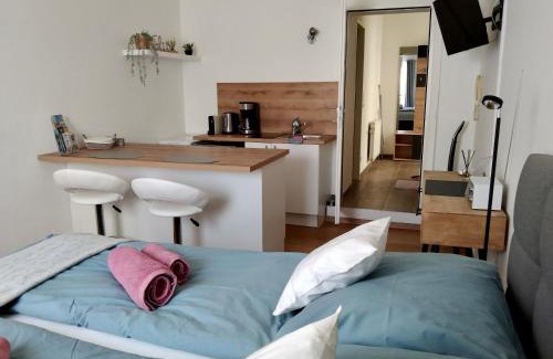 Sankt Polten Apartment | Air-conditioned, quiet Apartment - center of Sankt Pölten - Smart TV