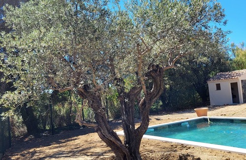 Aubignan Villa | Air-conditioned villa with pool and fence