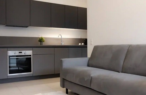 Viganello Apartment | Airy two-room apartment 15 minutes from the lakefront (Urban 18)