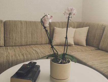 Jajce Apartment | Ajsha Guesthouse