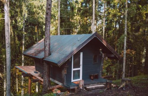 Telsiai House | ALŪNA house