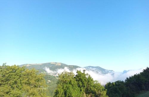 Arsie House | Al Ciod Agriturismo