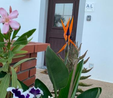 Mertola Apartment | AL Ribeirinho