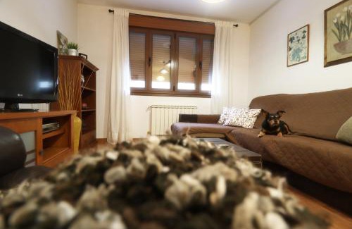 Carrena Apartment | Al Rincon de Emi